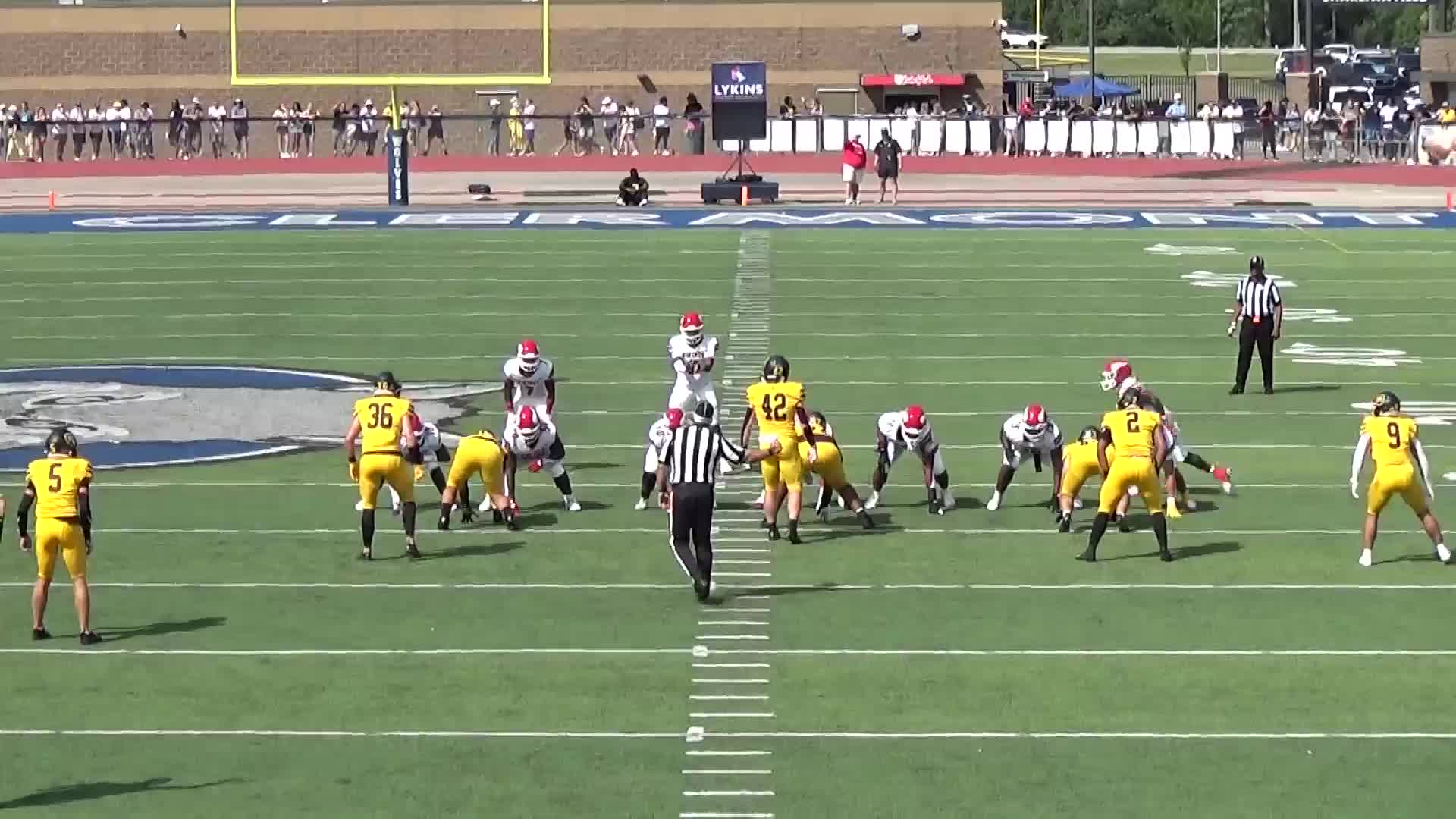 Landen Miree - Princeton - 2025 Senior Season Highlights 