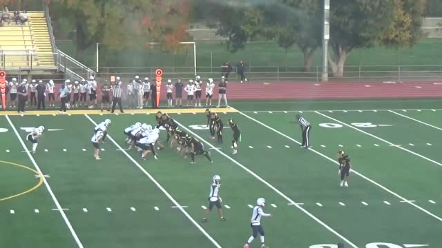 Tyler Snelling - Hudl
