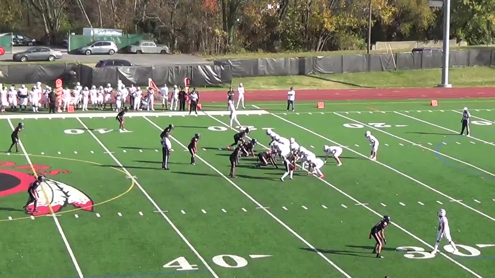 Sophomore Season Highlights