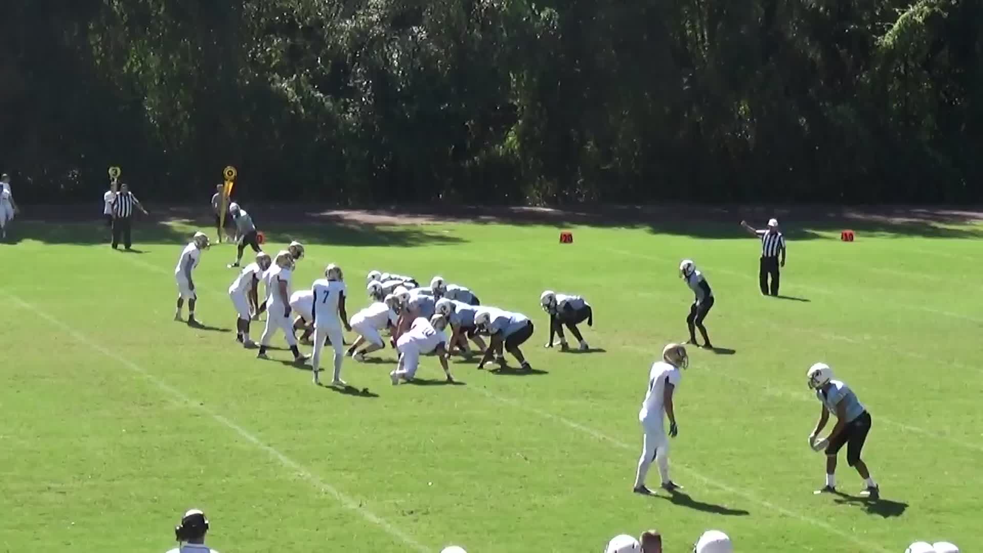 Carolina Wildcats - George Chestnut highlights - Hudl