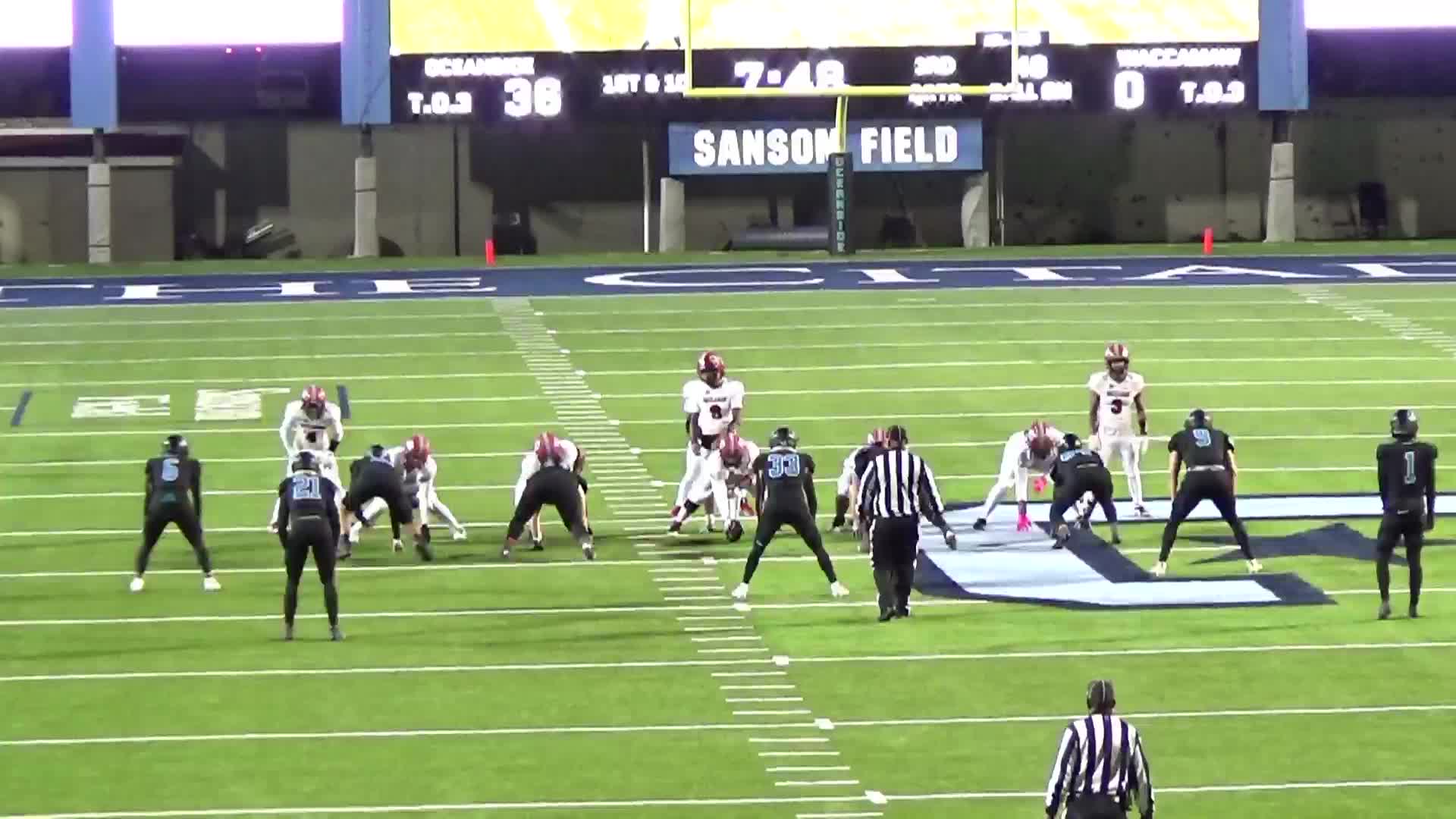 2024 Season Highlights